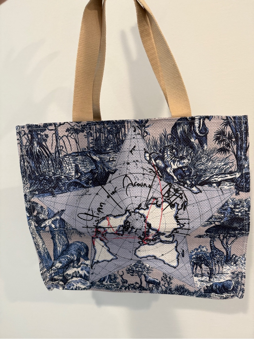 Dior Navy and Beige Toile Star Map Canvas Tote